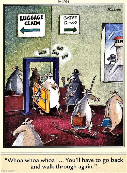 Just another day at the rat airport… | image tagged in the far side,comics,airport,rats | made w/ Imgflip meme maker