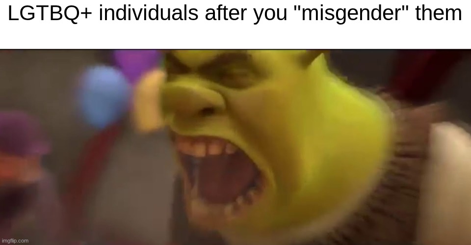 You can't tell me this isn't true | LGTBQ+ individuals after you "misgender" them | image tagged in shrek screaming | made w/ Imgflip meme maker