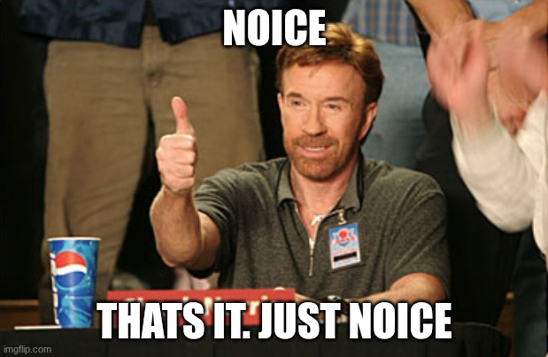 Chuck Norris Approves Meme | NOICE THATS IT. JUST NOICE | image tagged in memes,chuck norris approves,chuck norris | made w/ Imgflip meme maker
