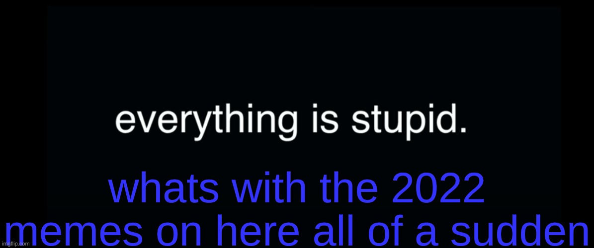 Everything is stupid bill wurtz | whats with the 2022 memes on here all of a sudden | image tagged in everything is stupid bill wurtz | made w/ Imgflip meme maker