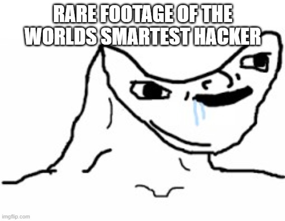 the people who hack in games just need to be removed in 2026 | RARE FOOTAGE OF THE WORLDS SMARTEST HACKER | image tagged in drooling brainless idiot,memes,roblox,minecraft,hacker | made w/ Imgflip meme maker