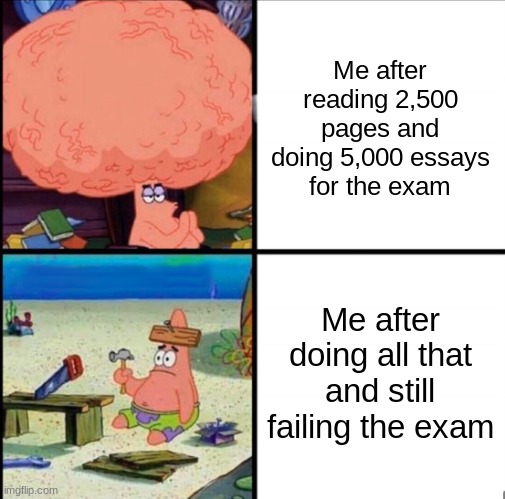 my brain loses dignity | Me after reading 2,500 pages and doing 5,000 essays
for the exam; Me after doing all that and still failing the exam | image tagged in patrick big brain | made w/ Imgflip meme maker