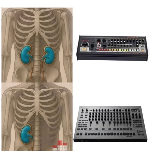 roland releasing a drum machine that costs 3000 fucking dollars | made w/ Imgflip meme maker