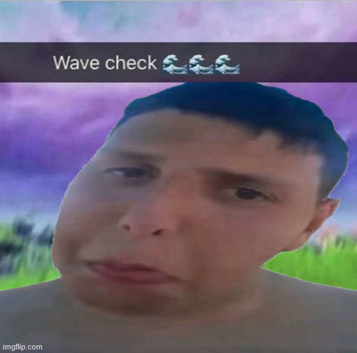 The WAVE CHECK meme | image tagged in memes,meme,waves,wave,tiktok,quiet | made w/ Imgflip meme maker