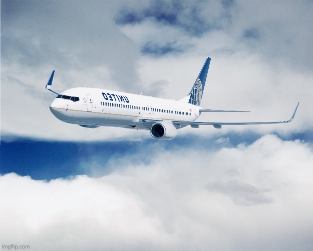 Plane Mirror Image Mode | image tagged in plane mirror image mode | made w/ Imgflip meme maker