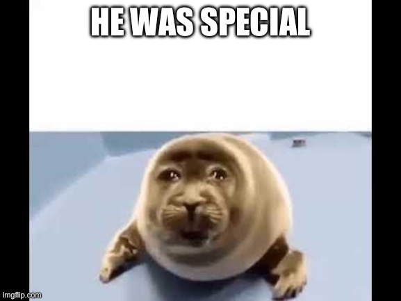 he was forced to eat cement | HE WAS SPECIAL | image tagged in he was forced to eat cement | made w/ Imgflip meme maker