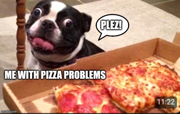 me with pizza problems | PLEZ! ME WITH PIZZA PROBLEMS | image tagged in funny memes | made w/ Imgflip meme maker