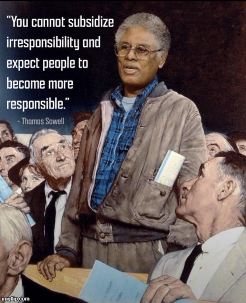 You cannot subsidize irresponsibility | image tagged in welfare,thomas sowell,society,economics | made w/ Imgflip meme maker