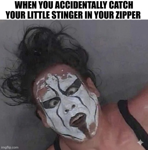 When You Accidentally Catch Your Little Stinger In Your Zipper | WHEN YOU ACCIDENTALLY CATCH YOUR LITTLE STINGER IN YOUR ZIPPER | image tagged in chrisjoines1 | made w/ Imgflip meme maker