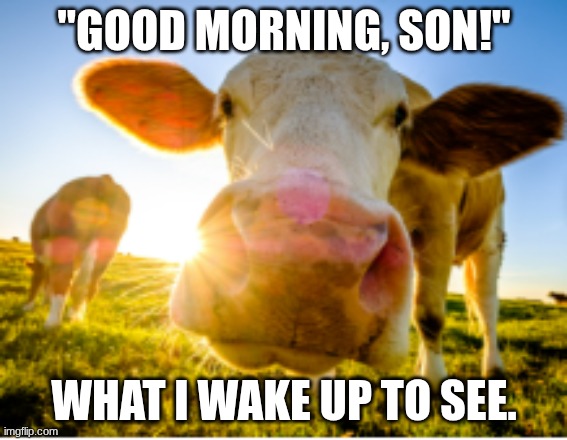 "GOOD MORNING, SON!"; WHAT I WAKE UP TO SEE. | made w/ Imgflip meme maker