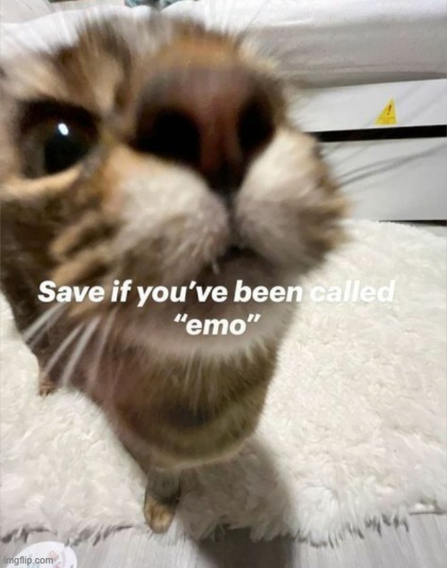 saved | made w/ Imgflip meme maker