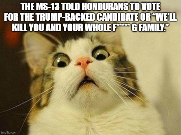 But KA Garcia?? | THE MS-13 TOLD HONDURANS TO VOTE FOR THE TRUMP-BACKED CANDIDATE OR “WE'LL KILL YOU AND YOUR WHOLE F***** G FAMILY.” | image tagged in memes,scared cat | made w/ Imgflip meme maker