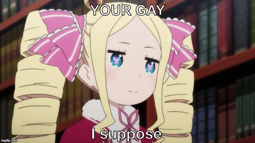 I suppose | YOUR GAY | image tagged in i suppose | made w/ Imgflip meme maker