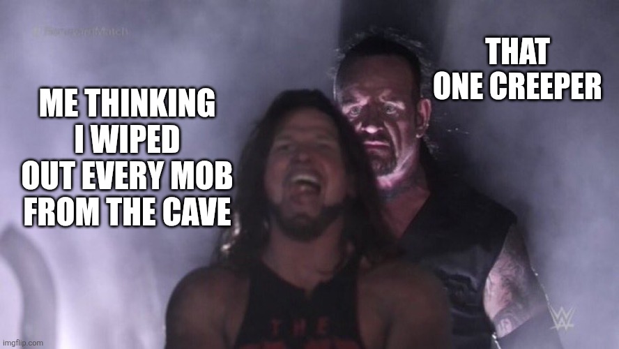 thank god i have a shield | THAT ONE CREEPER; ME THINKING I WIPED OUT EVERY MOB FROM THE CAVE | image tagged in aj styles undertaker | made w/ Imgflip meme maker