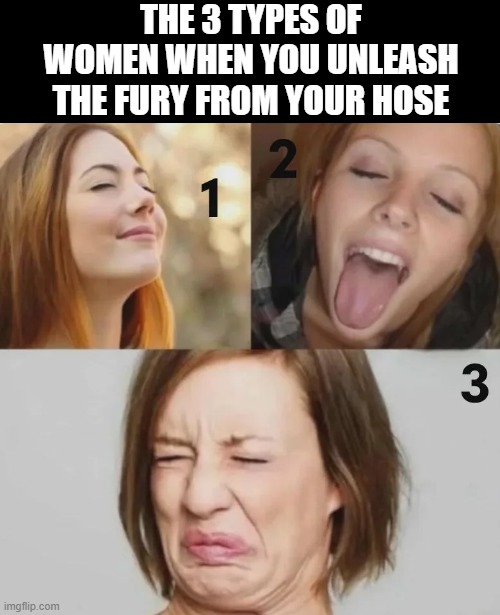 3 Types of Women | THE 3 TYPES OF WOMEN WHEN YOU UNLEASH THE FURY FROM YOUR HOSE | image tagged in sex jokes | made w/ Imgflip meme maker