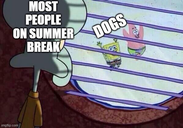 Squidward window | MOST PEOPLE ON SUMMER BREAK; DOGS | image tagged in squidward window | made w/ Imgflip meme maker