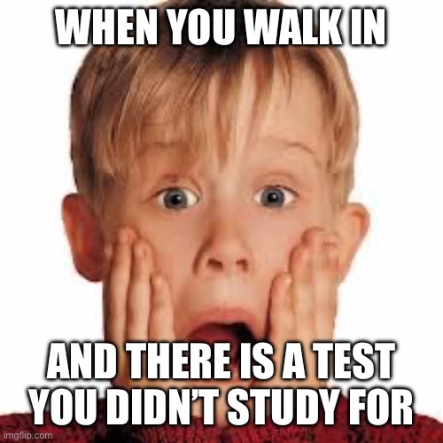 AHHHHHHH | WHEN YOU WALK IN; AND THERE IS A TEST YOU DIDN’T STUDY FOR | image tagged in shocked face | made w/ Imgflip meme maker