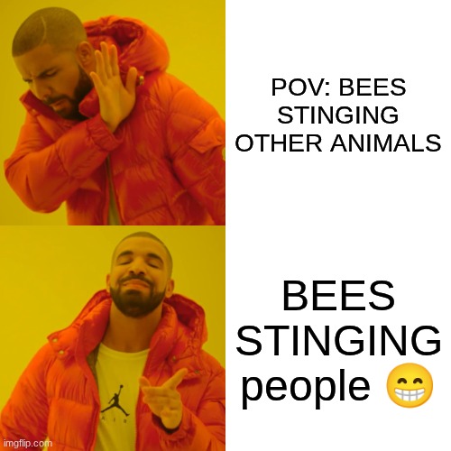 Drake Hotline Bling Meme | POV: BEES STINGING OTHER ANIMALS; BEES STINGING people 😁 | image tagged in memes,drake hotline bling | made w/ Imgflip meme maker