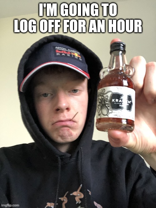 I'M GOING TO LOG OFF FOR AN HOUR | image tagged in you made me feel this way | made w/ Imgflip meme maker
