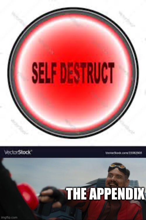 THE APPENDIX | image tagged in self destruct button,robotnik button | made w/ Imgflip meme maker