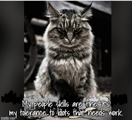 People skills | My people skills are fine. It's my tolerance to idiots that needs work. | image tagged in cats | made w/ Imgflip meme maker