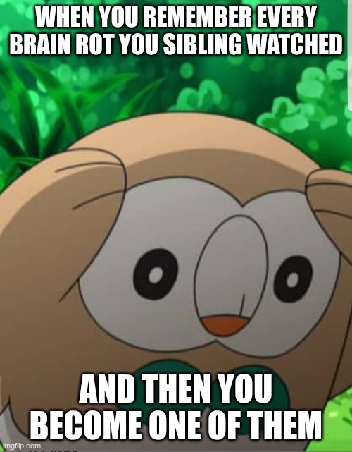 Rowlet Pokemon Meme | WHEN YOU REMEMBER EVERY BRAIN ROT YOU SIBLING WATCHED; AND THEN YOU BECOME ONE OF THEM | image tagged in rowlet pokemon meme | made w/ Imgflip meme maker