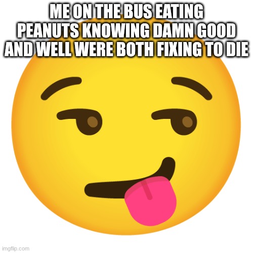 emoji kitchen | ME ON THE BUS EATING PEANUTS KNOWING DAMN GOOD AND WELL WERE BOTH FIXING TO DIE | image tagged in emoji kitchen | made w/ Imgflip meme maker