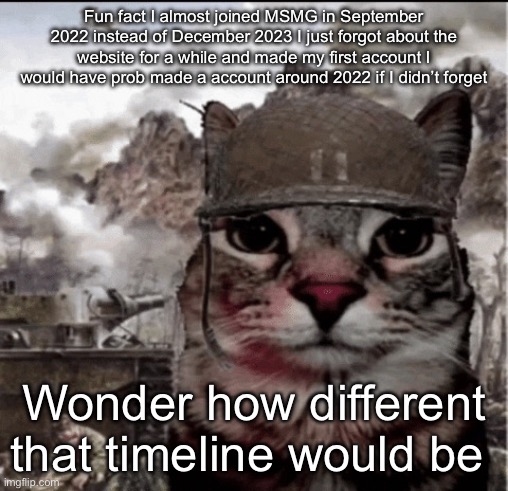 Thousand yard stare cat | Fun fact I almost joined MSMG in September 2022 instead of December 2023 I just forgot about the website for a while and made my first account I would have prob made a account around 2022 if I didn’t forget; Wonder how different that timeline would be | image tagged in thousand yard stare cat | made w/ Imgflip meme maker