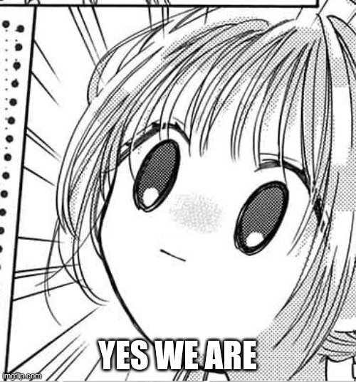 YES WE ARE | image tagged in stunned anime girl | made w/ Imgflip meme maker