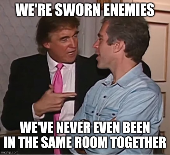 trump epstein party | WE'RE SWORN ENEMIES WE'VE NEVER EVEN BEEN IN THE SAME ROOM TOGETHER | image tagged in trump epstein party | made w/ Imgflip meme maker