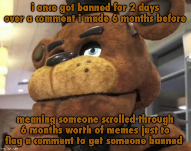 ban reason made sense though | i once got banned for 2 days over a comment i made 6 months before; meaning someone scrolled through 6 months worth of memes just to flag a comment to get someone banned | image tagged in hmm | made w/ Imgflip meme maker
