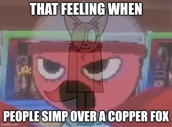 They ACTUALLY simped over Cupria before | THAT FEELING WHEN; PEOPLE SIMP OVER A COPPER FOX | image tagged in angry gigi,cupria | made w/ Imgflip meme maker