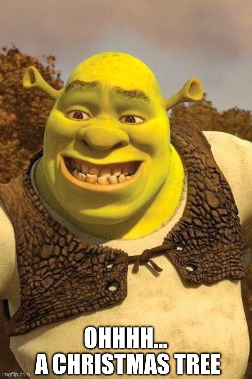 Smiling Shrek | OHHHH…
 A CHRISTMAS TREE | image tagged in smiling shrek | made w/ Imgflip meme maker