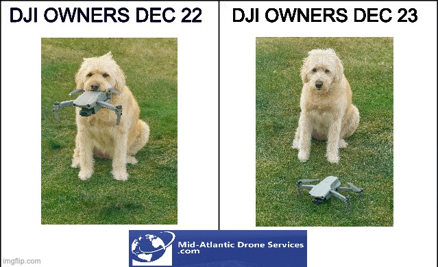 DJI Dog | DJI OWNERS DEC 22; DJI OWNERS DEC 23 | image tagged in side-by-side panels | made w/ Imgflip meme maker