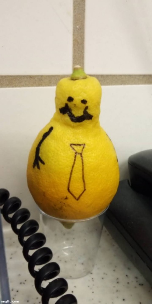 Sour tie | image tagged in when life gives you lemons | made w/ Imgflip meme maker
