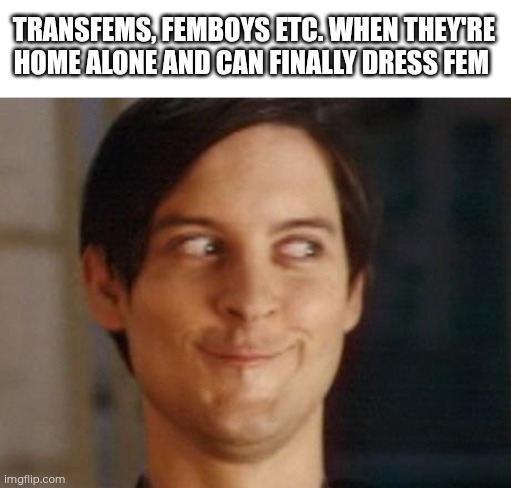 At least if your family isn't supportive or you're not out to them | TRANSFEMS, FEMBOYS ETC. WHEN THEY'RE HOME ALONE AND CAN FINALLY DRESS FEM | image tagged in memes,spiderman peter parker,femboy,transgender,transfem | made w/ Imgflip meme maker