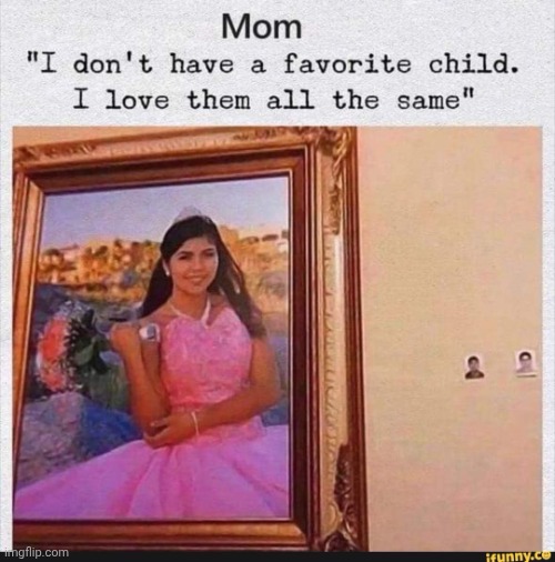 image tagged in i don't have favorites | made w/ Imgflip meme maker