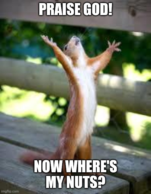 Squirrel Prayer | PRAISE GOD! NOW WHERE'S MY NUTS? | image tagged in praise squirrel,funny memes,nuts,god,prayer | made w/ Imgflip meme maker