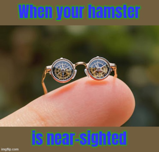 Yes, even rodents, and not just moles | When your hamster; is near-sighted | image tagged in mini glasses,blind,rodents | made w/ Imgflip meme maker
