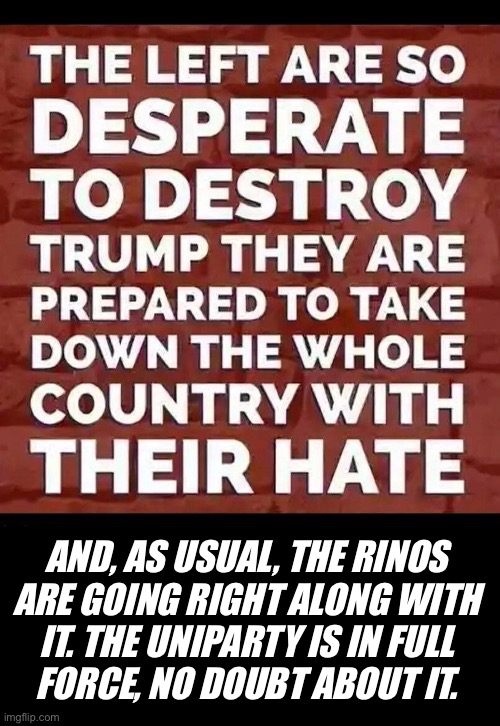 Rinos are the real scourge of the country. We already know what the Demonrats are all about. | AND, AS USUAL, THE RINOS 
ARE GOING RIGHT ALONG WITH 
IT. THE UNIPARTY IS IN FULL 
FORCE, NO DOUBT ABOUT IT. | image tagged in political meme,uniparty,democrats,destroy the country | made w/ Imgflip meme maker
