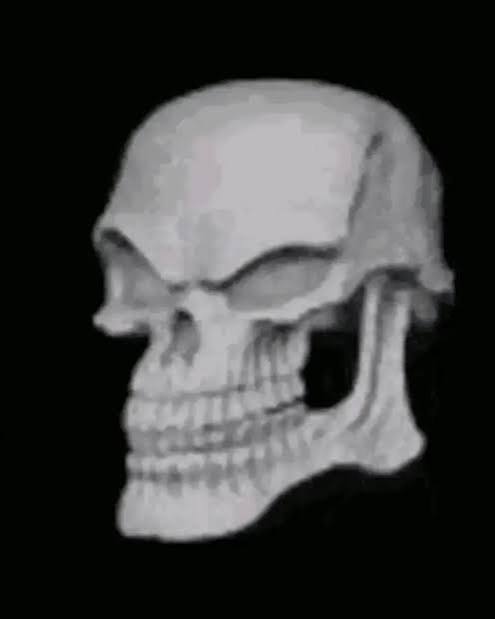 Smirking Skull Blank Meme Template