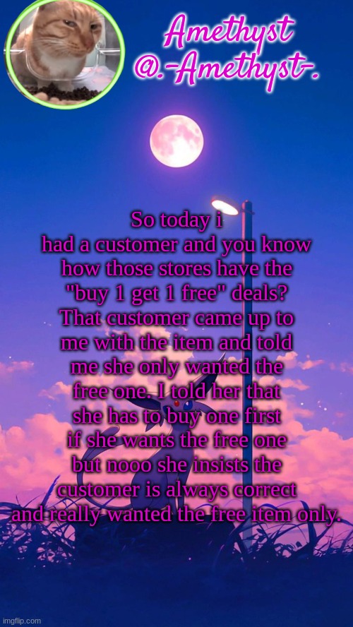 I don't get paid enough for this. </3 | So today i had a customer and you know how those stores have the "buy 1 get 1 free" deals? That customer came up to me with the item and told me she only wanted the free one. I told her that she has to buy one first if she wants the free one but nooo she insists the customer is always correct and really wanted the free item only. | image tagged in amethyst announcement template | made w/ Imgflip meme maker