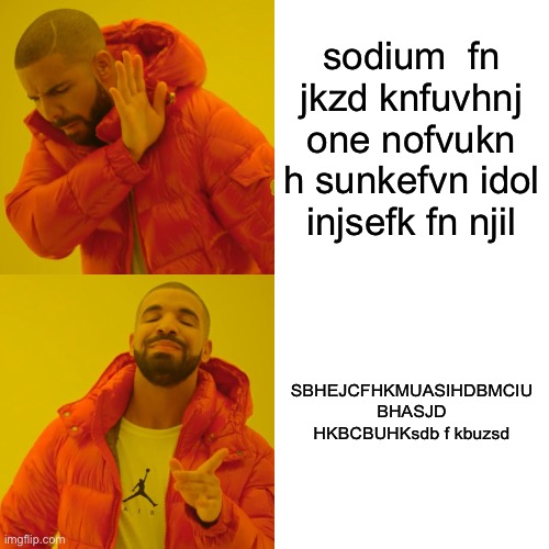 my new meme | sodium  fn jkzd knfuvhnj one nofvukn h sunkefvn idol injsefk fn njil; SBHEJCFHKMUASIHDBMCIU BHASJD HKBCBUHKsdb f kbuzsd | image tagged in memes,drake hotline bling | made w/ Imgflip meme maker