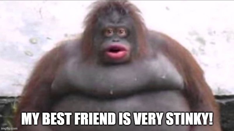 Uh oh stinky | MY BEST FRIEND IS VERY STINKY! | image tagged in uh oh stinky | made w/ Imgflip meme maker