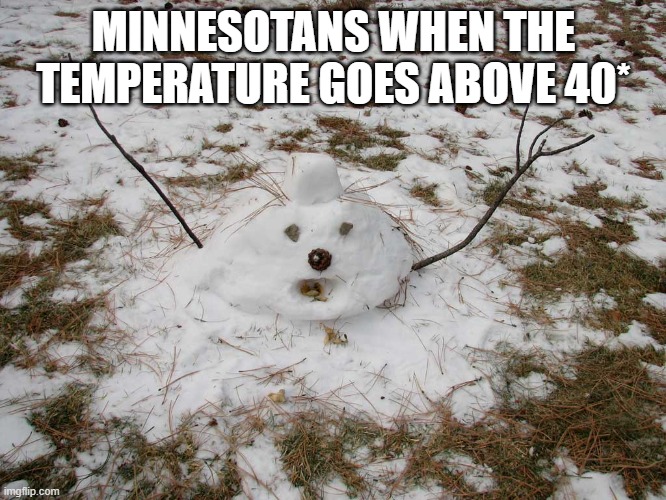 as a minnesotan I can confirm this is true | MINNESOTANS WHEN THE TEMPERATURE GOES ABOVE 40* | image tagged in melted snowman,minnesota,united states,temperature | made w/ Imgflip meme maker