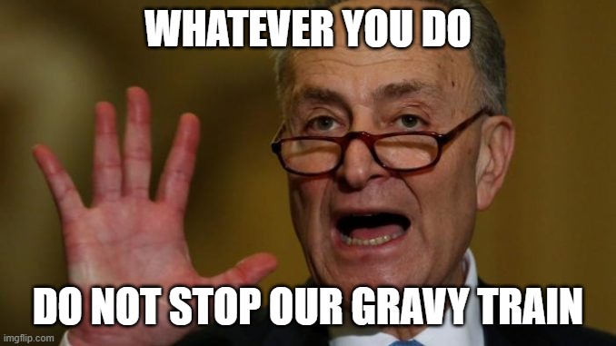 Chuck Schumer | WHATEVER YOU DO; DO NOT STOP OUR GRAVY TRAIN | image tagged in chuck schumer | made w/ Imgflip meme maker