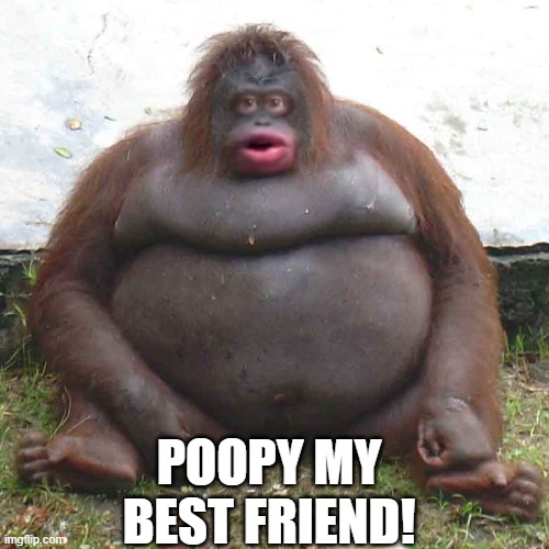 le monke | POOPY MY BEST FRIEND! | image tagged in le monke | made w/ Imgflip meme maker