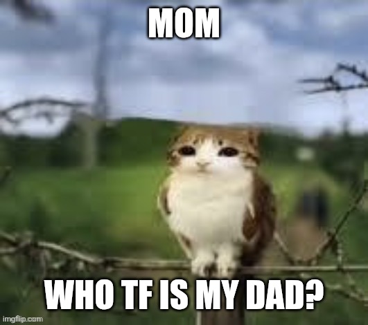 A meowl | MOM; WHO TF IS MY DAD? | image tagged in a meowl | made w/ Imgflip meme maker