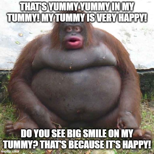 le monke | THAT'S YUMMY YUMMY IN MY TUMMY! MY TUMMY IS VERY HAPPY! DO YOU SEE BIG SMILE ON MY TUMMY? THAT'S BECAUSE IT'S HAPPY! | image tagged in le monke | made w/ Imgflip meme maker