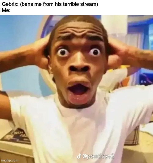 Gebrix has a large amount of furry slop | Gebrix: (bans me from his terrible stream)
Me: | image tagged in shocked black guy | made w/ Imgflip meme maker